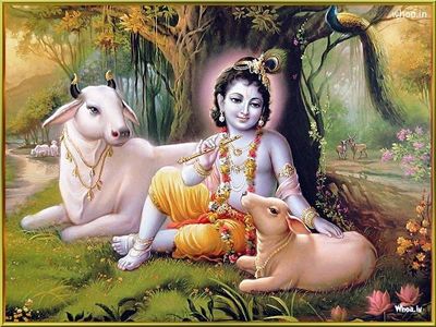 sharadi saDDiya mADi dhareya (Uga)